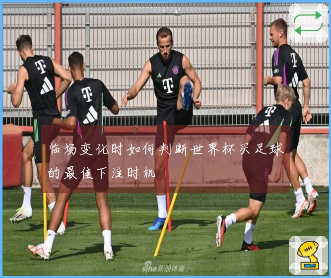 临场变化时如何判断世界杯买足球的最佳下注时机