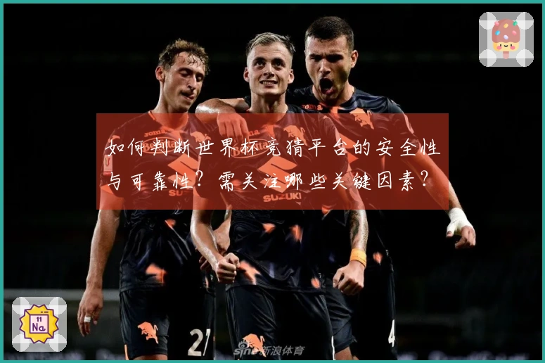 如何判断世界杯竞猜平台的安全性与可靠性？需关注哪些关键因素？