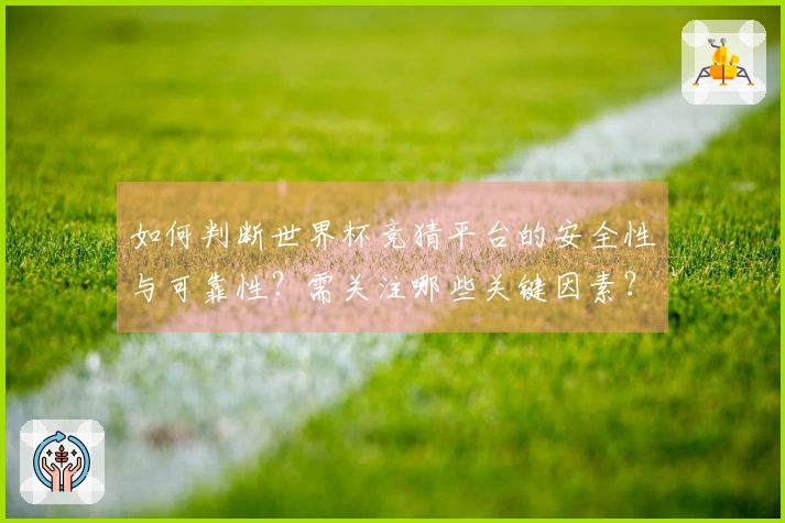 如何判断世界杯竞猜平台的安全性与可靠性？需关注哪些关键因素？