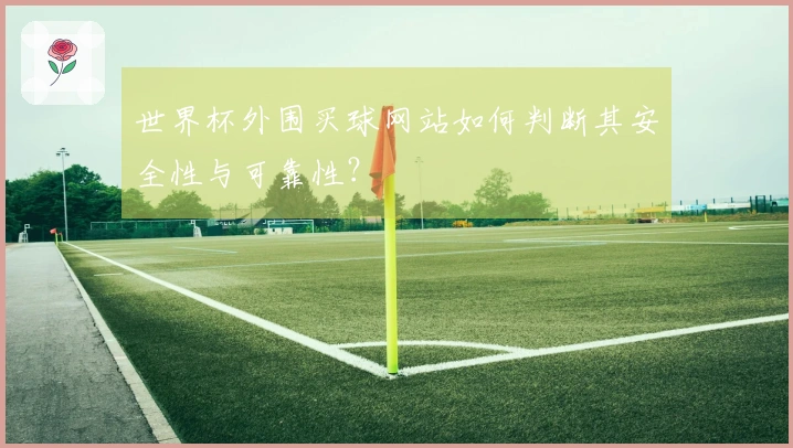 世界杯外围买球网站如何判断其安全性与可靠性？