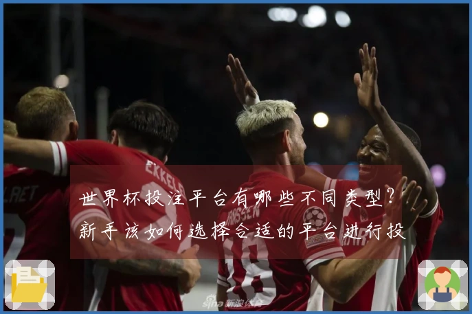 世界杯投注平台有哪些不同类型？新手该如何选择合适的平台进行投注？